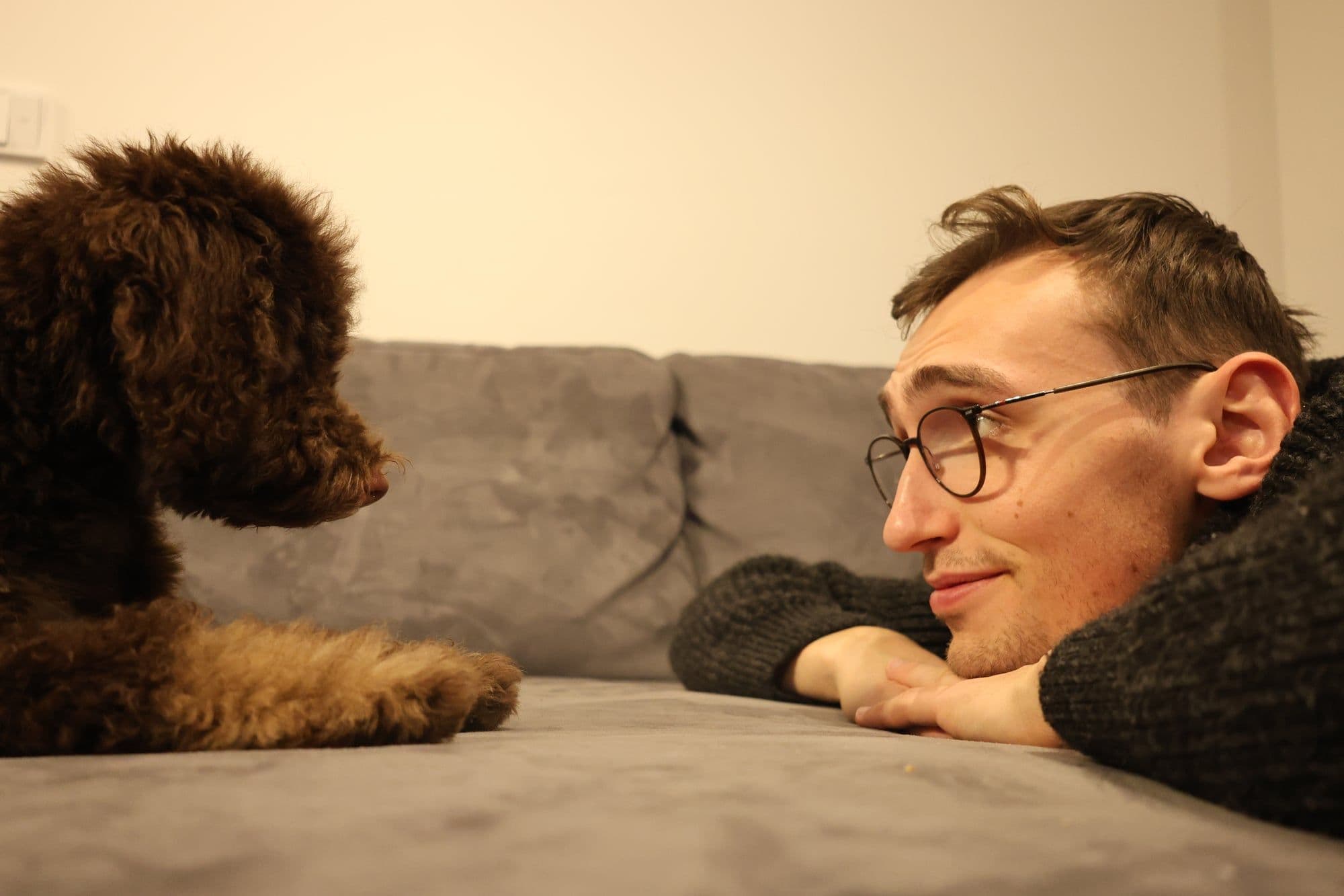 Julian and Balou face to face on the couch