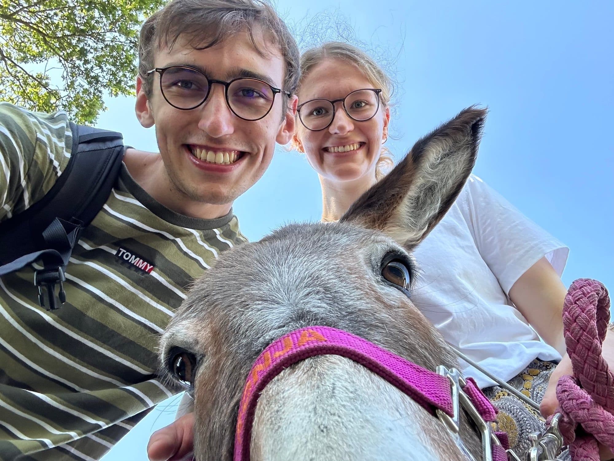 With a donkey