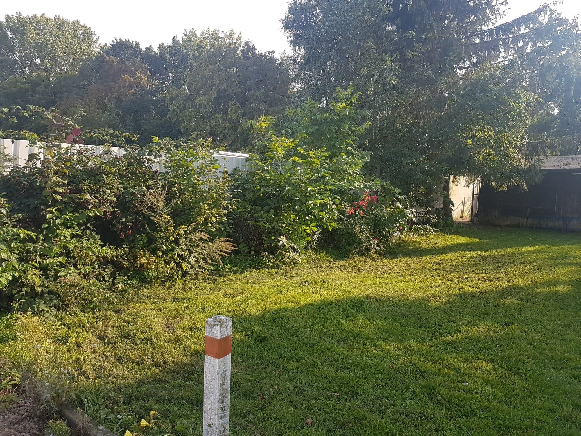 The garden in Bremen